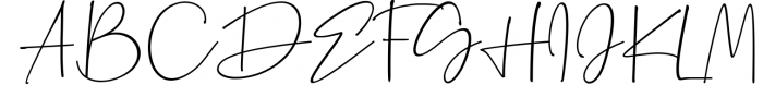 Elegant Handwritten Font Bundle 12 Font UPPERCASE