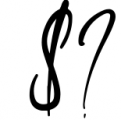 Elegant Handwritten Font Bundle 13 Font OTHER CHARS