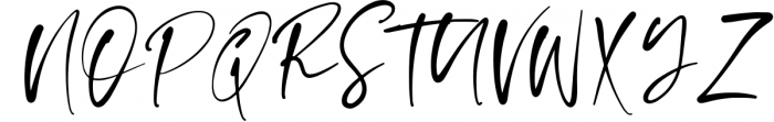 Elegant Handwritten Font Bundle 13 Font UPPERCASE