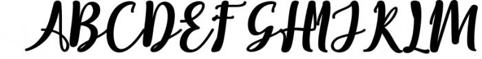 Elistabeta Script | luxury ligatures font Font UPPERCASE