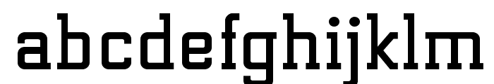 ElectrumADFExp-Bold Font LOWERCASE