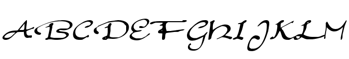 Elegant hand Script Font UPPERCASE
