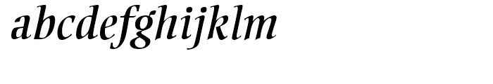 Ellington Italic Font LOWERCASE