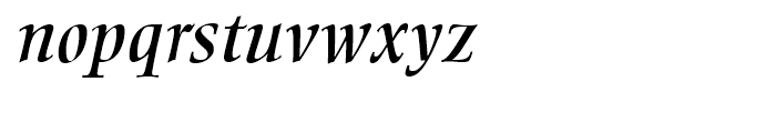 Ellington Italic Font LOWERCASE