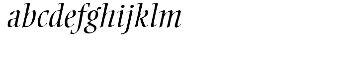 Ellington Light Italic Font LOWERCASE