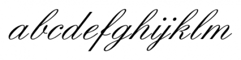 Elegant Script Pro Regular Font LOWERCASE