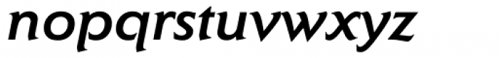 Elan Medium Italic Font LOWERCASE