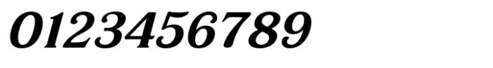 Elanor Medium Italic Font OTHER CHARS