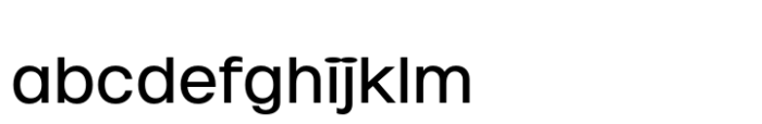 Elastik Regular A FONT