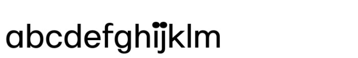 Elastik Regular B FONT