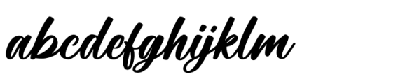 Elbrush Signation Script Solid Font LOWERCASE