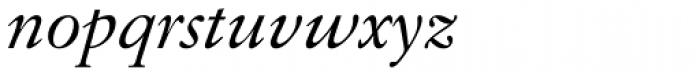 Elegant Garamond Italic Font LOWERCASE