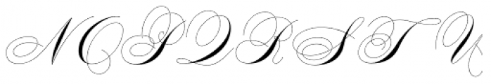 Elegy Pro Font - What Font Is