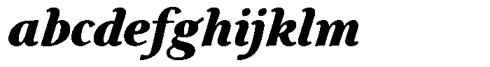 Eleni Pro Display Black Italic FONT