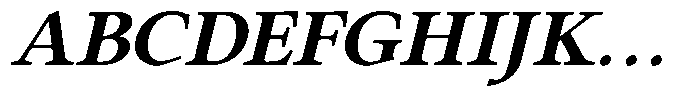 Eleni Pro Display Bold Italic Font UPPERCASE