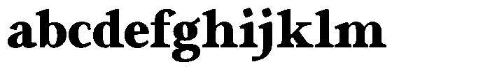 Eleni Pro Text Black FONT