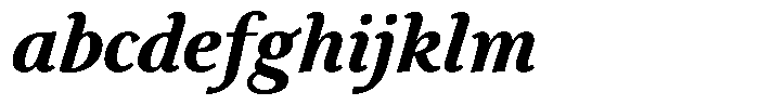 Eleni Pro Text Bold Italic FONT