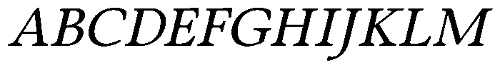 Eleni Pro Text Italic Font UPPERCASE