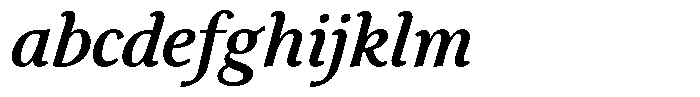 Eleni Pro Text Medium Italic FONT