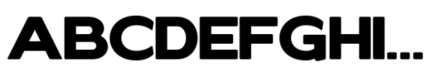 Elghita  Sans Expanded Black Font UPPERCASE