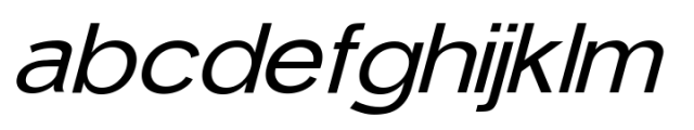 Elghita  Slant Expanded Variable FONT