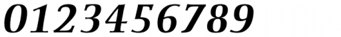 Ellington Pro Bold Italic Font OTHER CHARS