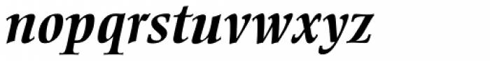 Ellington Pro Bold Italic Font LOWERCASE