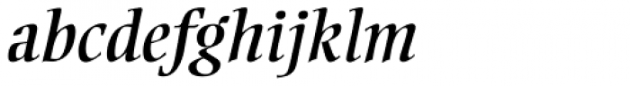 Ellington Pro Italic Font LOWERCASE
