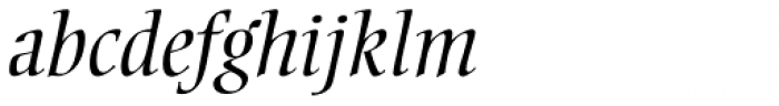 Ellington Pro Light Italic Font LOWERCASE