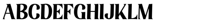 Elsain Serif Font Bold Font UPPERCASE