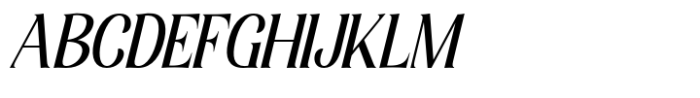 Elsain Serif Font Italic Font UPPERCASE