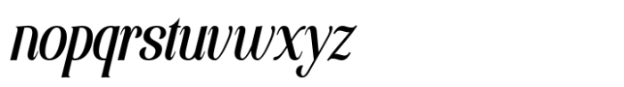 Elsain Serif Font Italic Font LOWERCASE