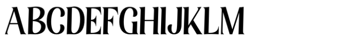 Elsain Serif Font Medium Font UPPERCASE