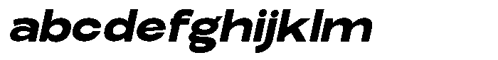 Elvara Sans Extra Bold Extra Exp Italic FONT