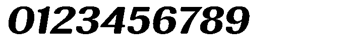 Elvarion Rounded Bold Expanded Oblique Font OTHER CHARS