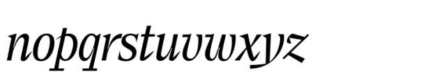 Elvira Serif Light Italic Font LOWERCASE