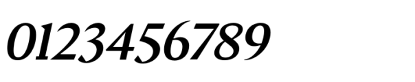 Elvira Serif Medium Italic Font OTHER CHARS