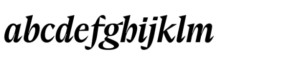 Elvira Serif Medium Italic Font LOWERCASE