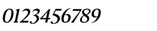 Elvira Serif Variable Italic Font OTHER CHARS