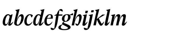 Elvira Serif Variable Italic Font LOWERCASE