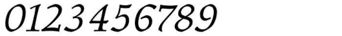 Elysium Book Italic Font OTHER CHARS