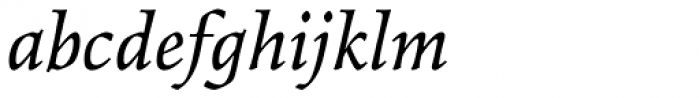 Elysium Pro Book Italic Font LOWERCASE
