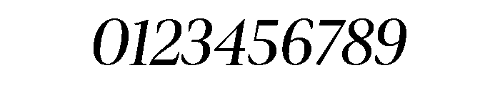 Ellery Bold Italic Font OTHER CHARS