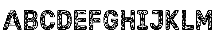 Emir Regular Font UPPERCASE