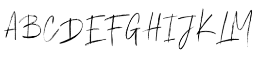 Emoray Signature Brush Font UPPERCASE