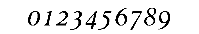 Emerson Book Italic Font OTHER CHARS