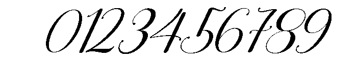 Enchanting Calligraphy Regular Font OTHER CHARS