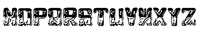 Enloe Font LOWERCASE