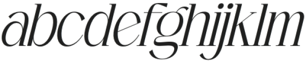 Enchanted Hermion Serif Italic otf (400) Font LOWERCASE
