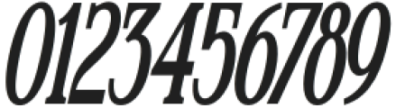 Enigmatica Black Condensed Italic otf (900) Font OTHER CHARS